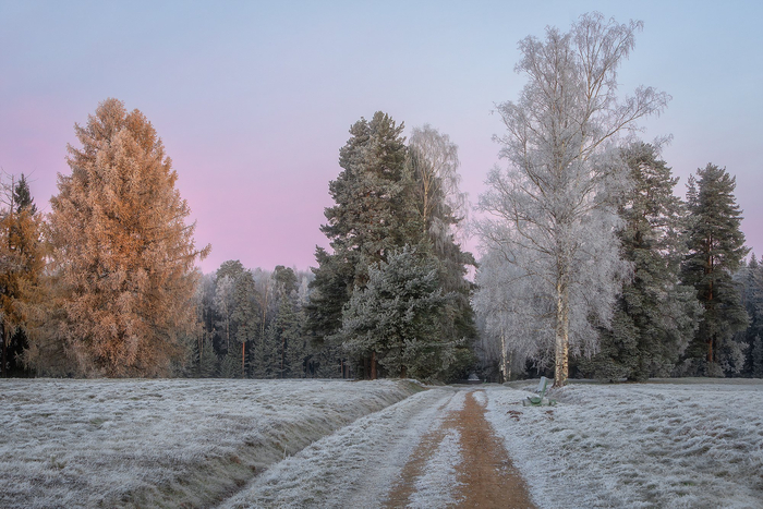 :   <a href="https://pikabu.ru/story/moroznoe_noyabrskoe_utro_13404962?u=https%3A%2F%2Frtraveler.ru%2Fphoto%2F1479401%2F%3Feditorial_photos%3D1&t=%D0%BE%D1%82%D1%81%D1%8E%D0%B4%D0%B0&h=fb443c02a8e5455a030e73c2446526fbf12cfe59" title="https://rtraveler.ru/photo/1479401/?editorial_photos=1" target="_blank" rel="nofollow noopener"></a>