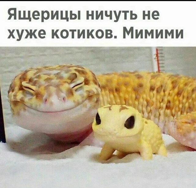 Пожелейте меня!