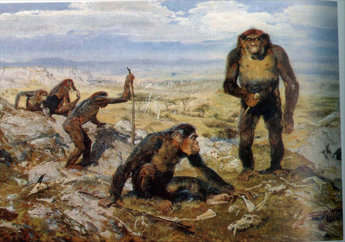  ,          ,     .     ,      .