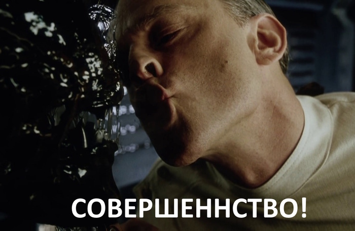 Ответ на пост «Самая большая сколопендра в мире»