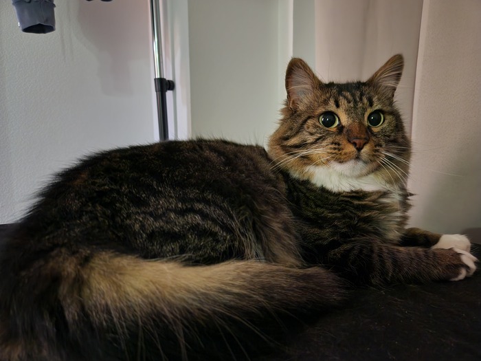 Ежедневный Рислинг #114