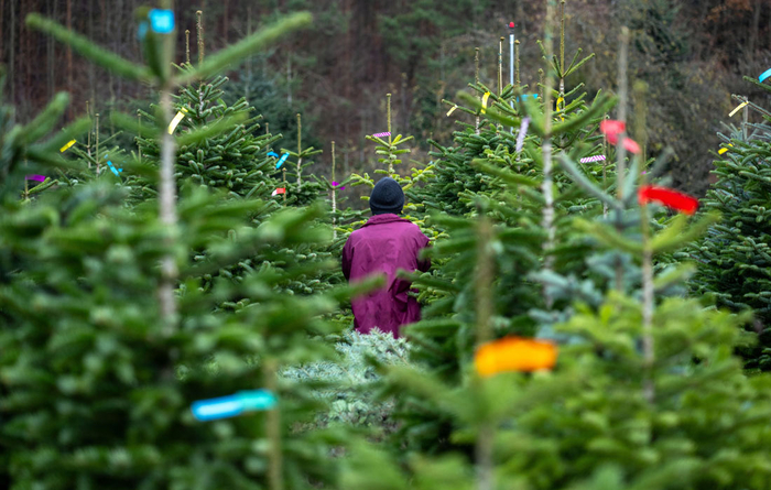      //: Pia Bayer/picture alliance via Getty Images