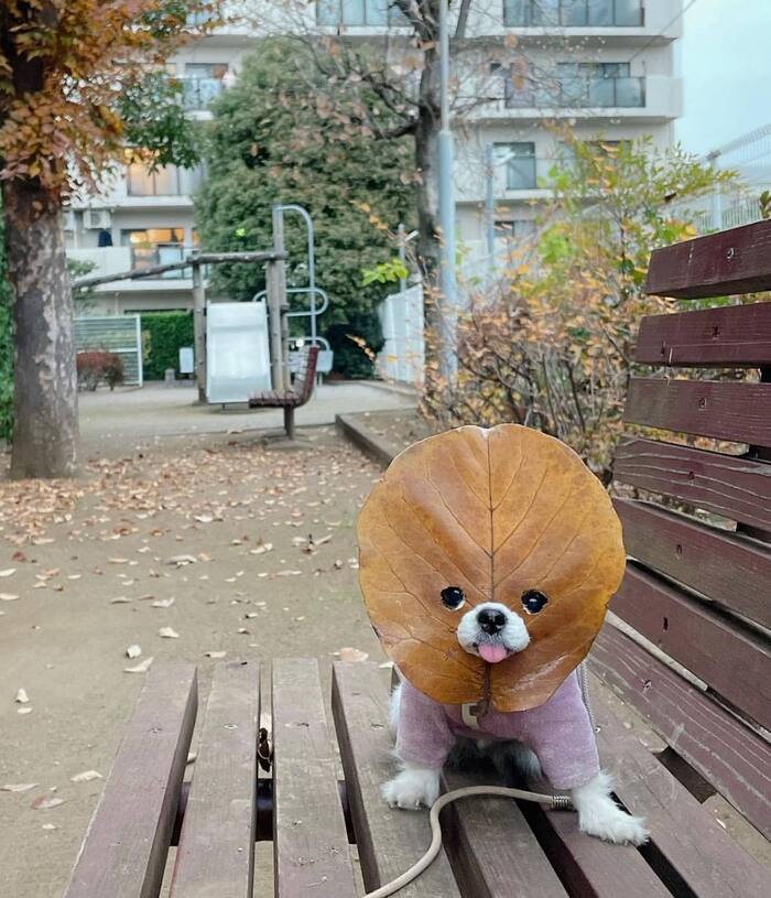 Мой хозяин и...