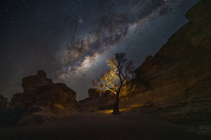 :   <a href="https://pikabu.ru/story/volshebnoe_derevo_13410392?u=https%3A%2F%2Frtraveler.ru%2Fphoto%2F1479417%2F%3Feditorial_photos%3D1&t=%D0%BE%D1%82%D1%81%D1%8E%D0%B4%D0%B0&h=fbfa05133607ef9e31980df8474c5bf558ecdcfc" title="https://rtraveler.ru/photo/1479417/?editorial_photos=1" target="_blank" rel="nofollow noopener"></a>