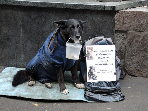 Ответ на пост «Попрошайки Москва Сити»
