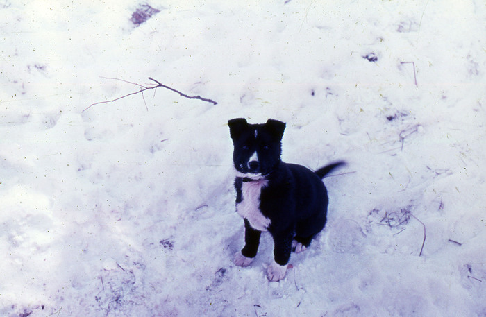   .     -  ,         , : ", !    -  !"  )))