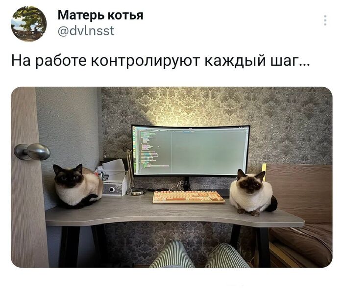 Чудовищные условия