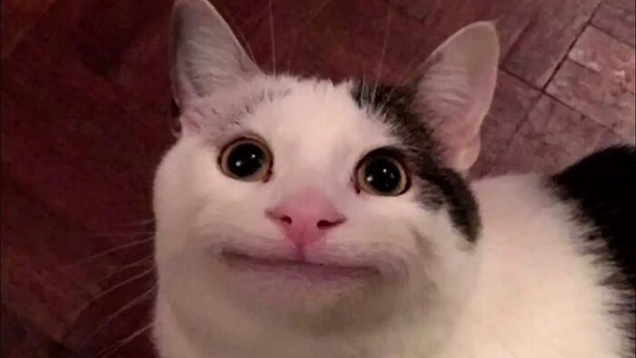 П.с. не прилагаются))