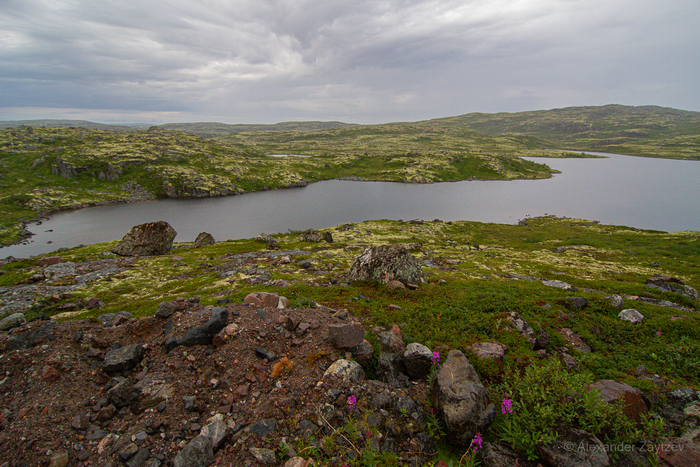 Кто может жить в подобном водоеме, не представляется просто никак