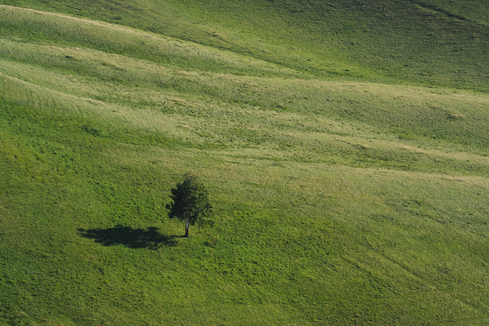 Минимализм в природе