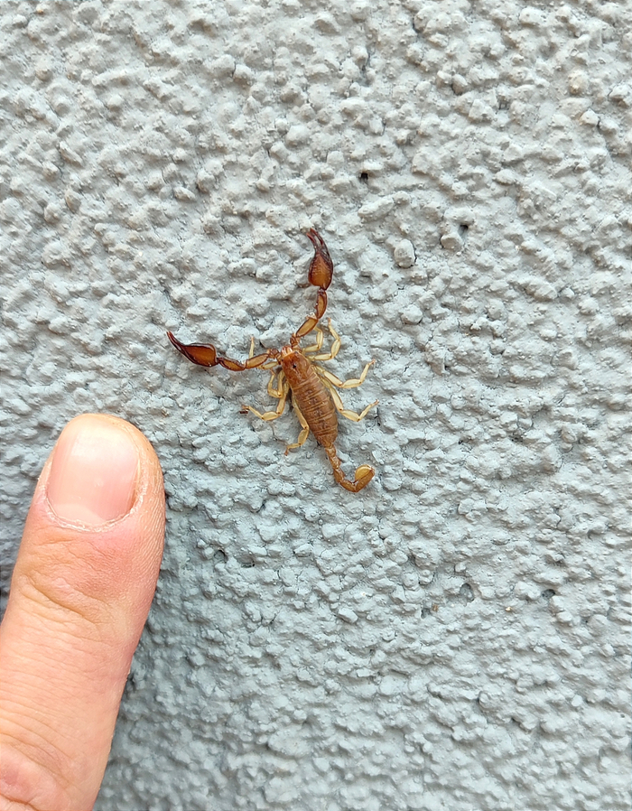 Ты кто такой? Это мой дом!