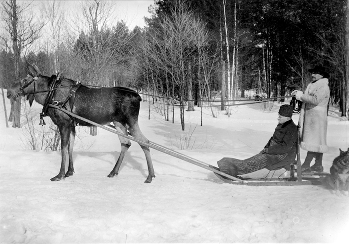 Это я берусь под конец года за все дополнительные задачи по работе, ведь у нас горят дедлайны.