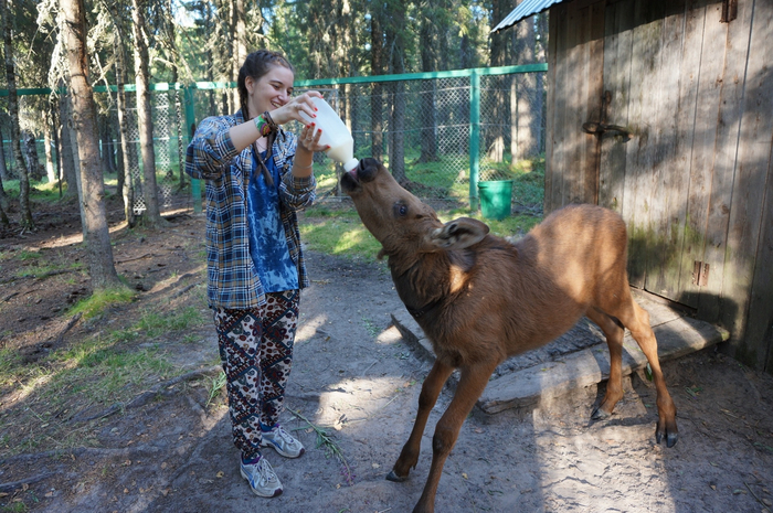 Малыши так привязываются к человеку, что становятся совсем ручными.