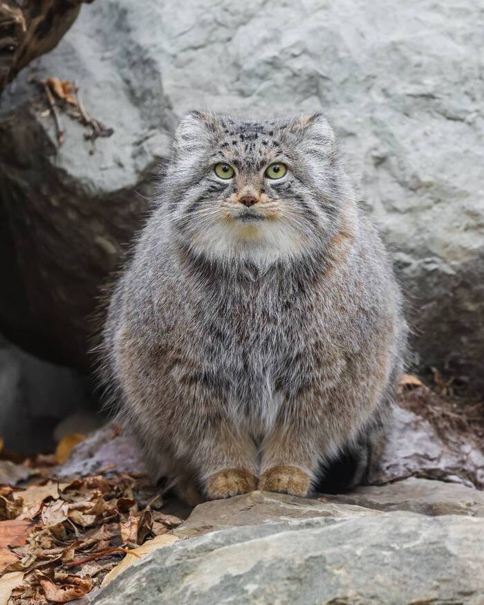 Я жду, неси скорее