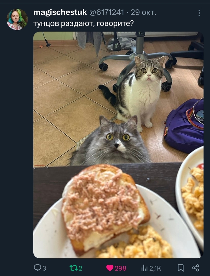 <!--noindex--><a href="https://pikabu.ru/story/nikakogo_davleniya_13421608?u=https%3A%2F%2Fx.com%2F6171241%2Fstatus%2F1983474611955404941&t=https%3A%2F%2Fx.com%2F6171241%2Fstatus%2F1983474611955404941&h=d708928d5971c013bc6d8bb6181a2027dae8765b" title="https://x.com/6171241/status/1983474611955404941" target="_blank" rel="nofollow noopener">https://x.com/6171241/status/1983474611955404941</a><!--/noindex-->