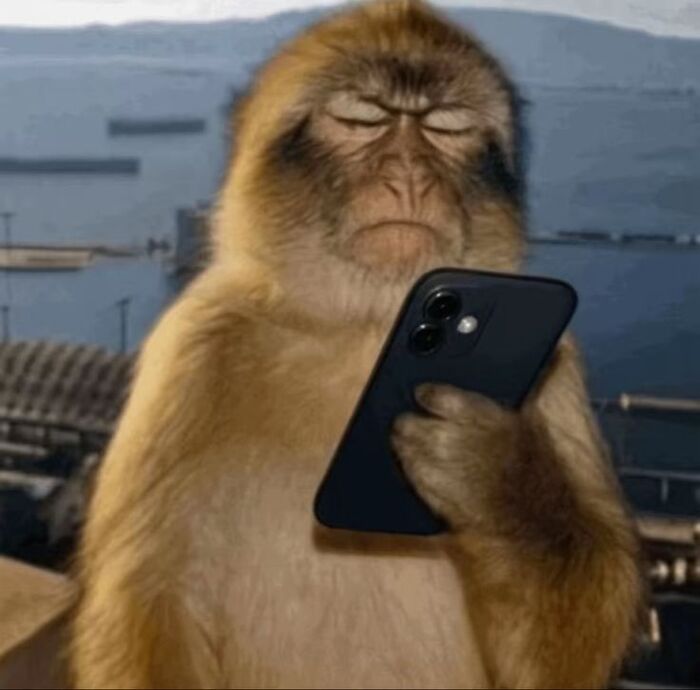 Мерцает экран в кс2