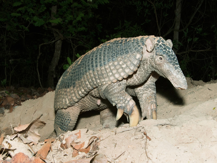   , ,         ?      .     ...