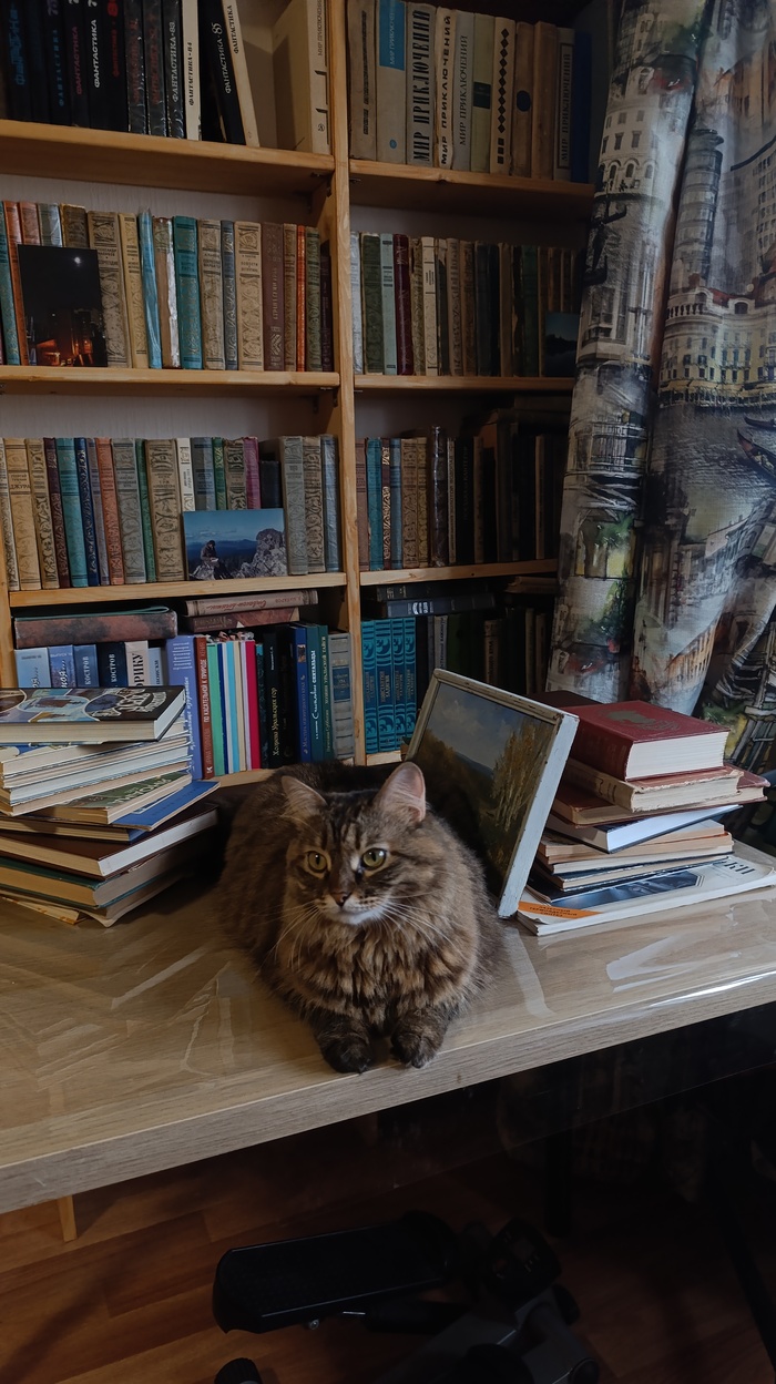 Новый стеллаж в стадии раскладывания книг. Охранница на месте )))