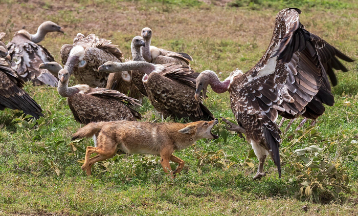  , ,    ?    !       !