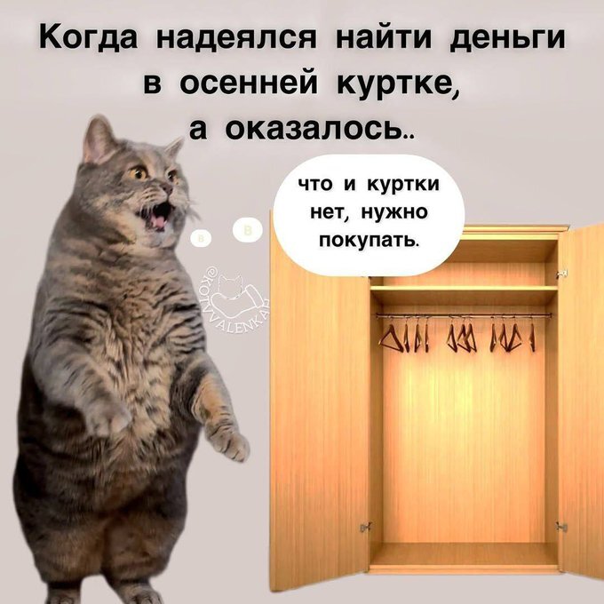 Покупай б/у-шную. Может в ней кто-нибудь забудет деньги