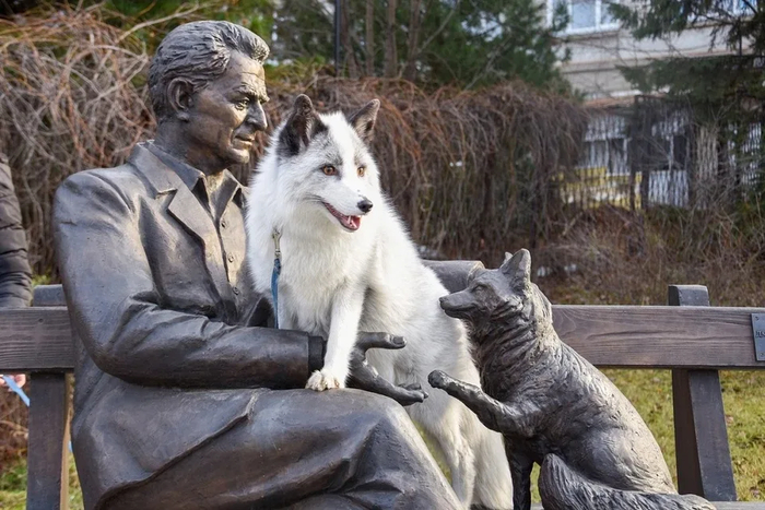      ,   .      :    ,  ,  .