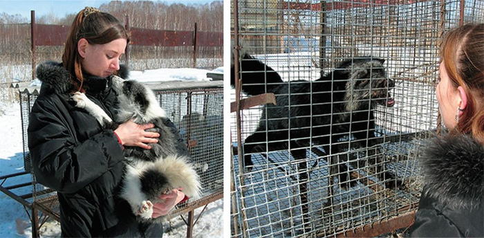    :      .    .          .