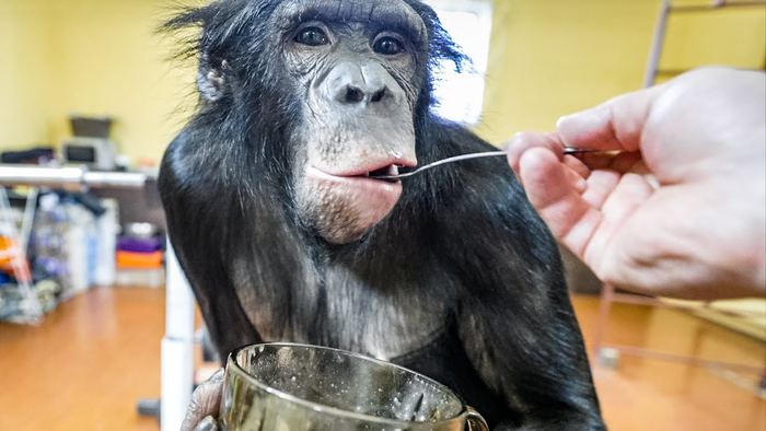 Вот бы и нам такую волшебную кастрюлю: положил, достал, и уже всё готово!