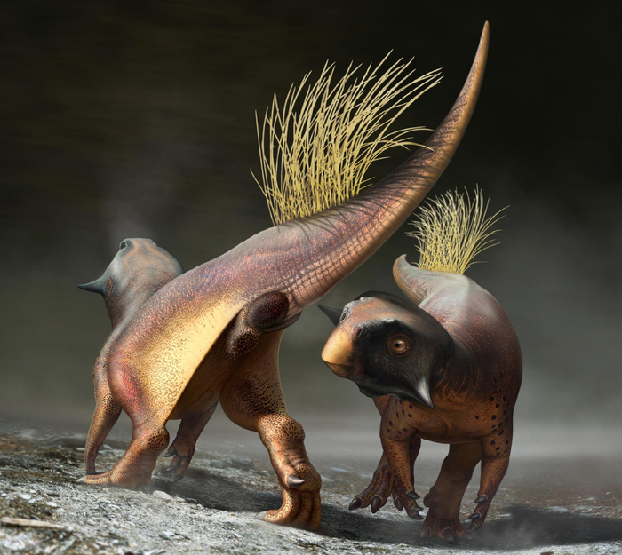 А ты точно самец?