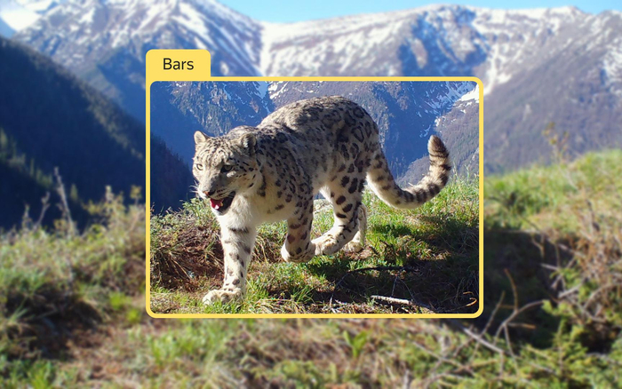 И в то же время нейросети помогают исследователям собирать и систематизировать информацию с видео. 1:1, получается?