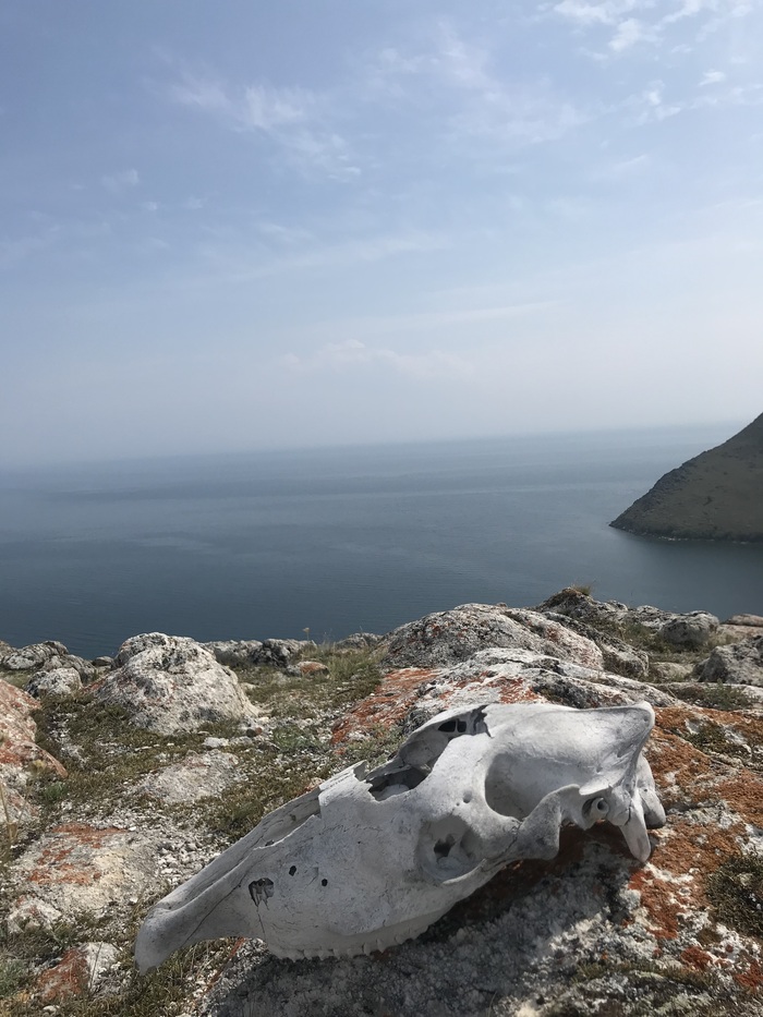 �������: ������ � ���� ���� 1 � ����� ��������