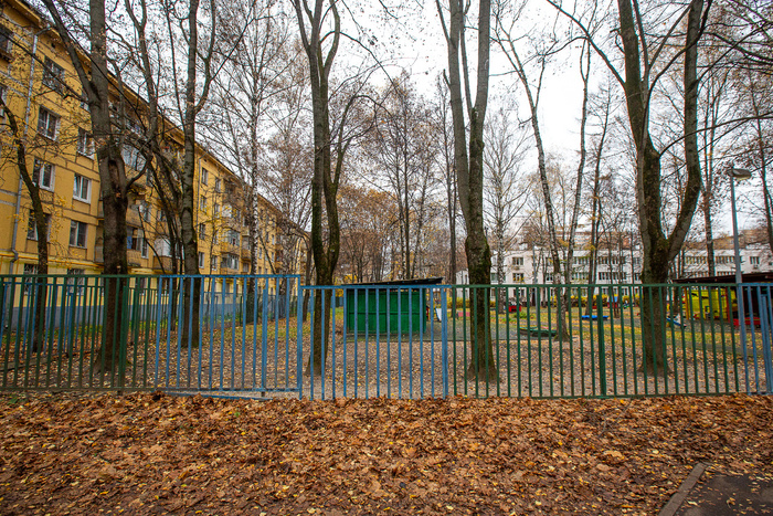  (2025 )      " ۓ    " (. . , 1965). .   