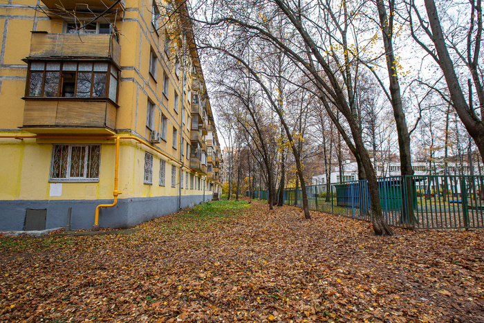  (2025 )      " ۓ    " (. . , 1965). .   