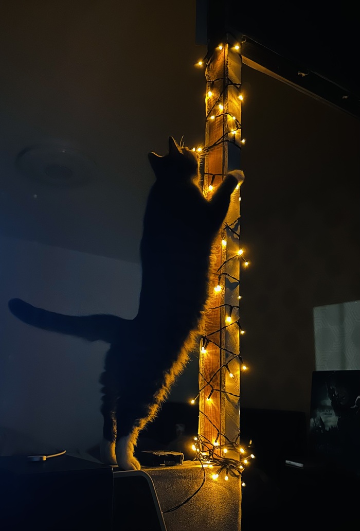 Гермиона по природе исследователь :)