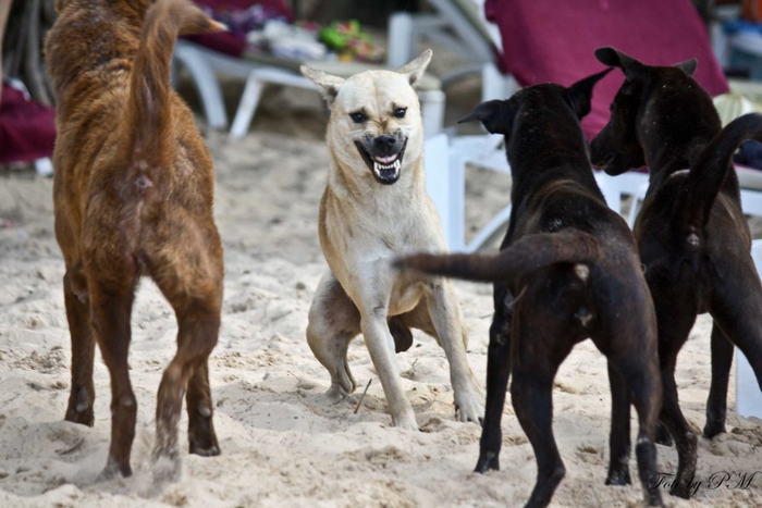          ,   .      .        .