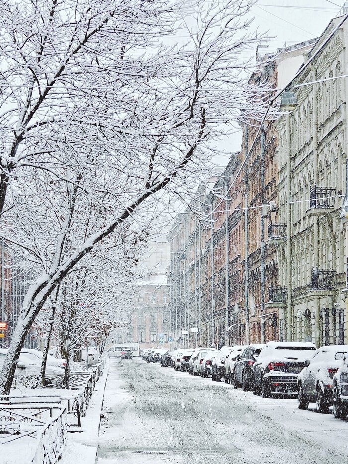 Снегопад в Петербурге