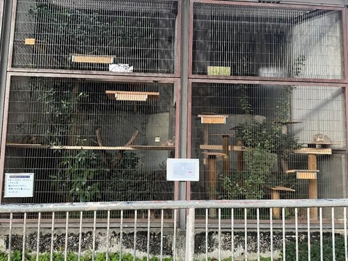 Отдельный вольер для братьев