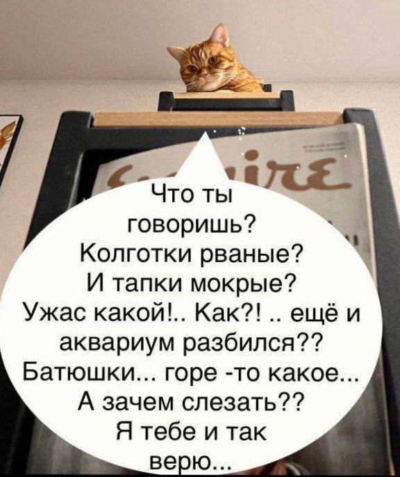 А зачем слезать