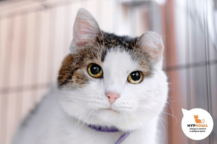  , 6 , . , .        - , .  ,                .