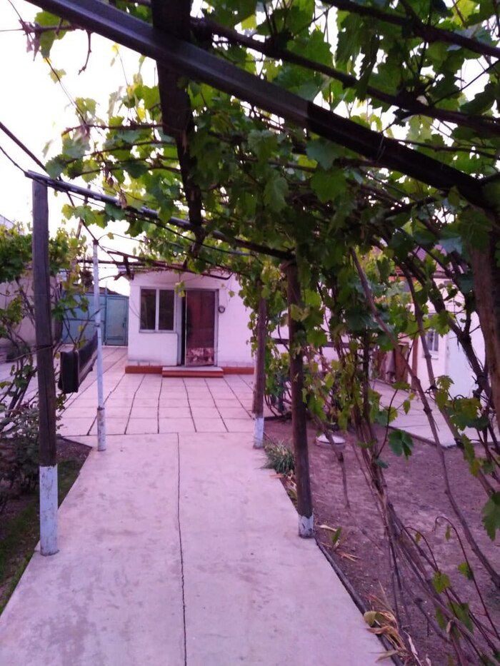 Всё, что смог найти на данный момент. Фото 2020-2021 года примерно