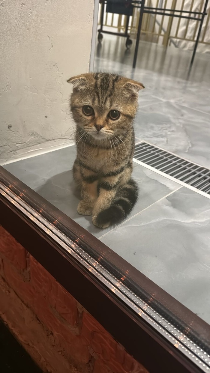 ����� �� ���� ��������:  ������ ��� ������