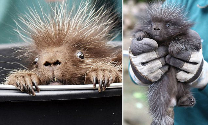     6       .          ,     .