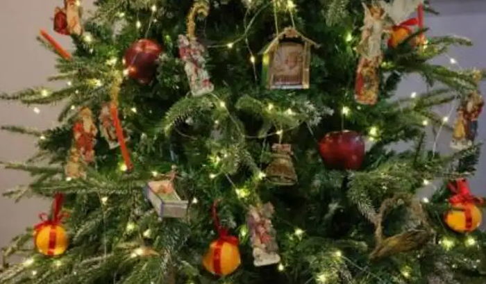 А я с каждым днем убеждаюсь, что правильно сделал так и не разобрав ёлку