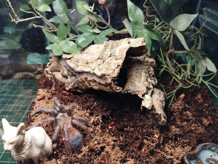 Новый терр для Сазьки