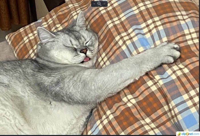    &quot;,   ,   &quot;