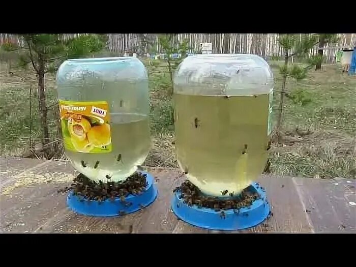 Создание условий для пчел, как одно из условий благополучия хозяйства