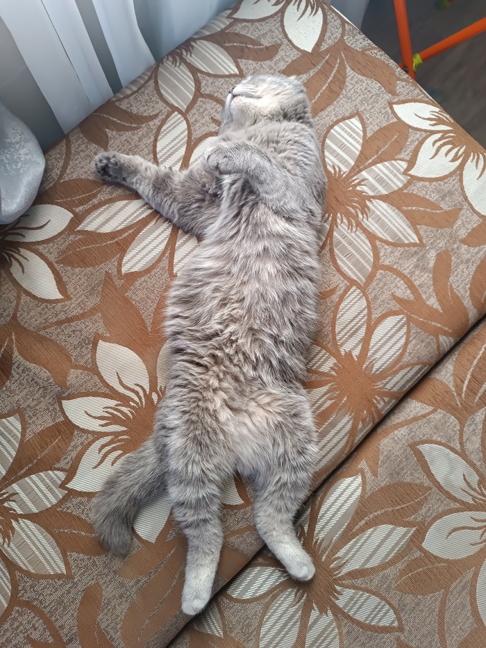 &quot;,   ,   &quot;