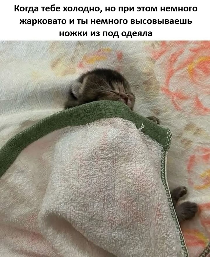 И холодно и жарко