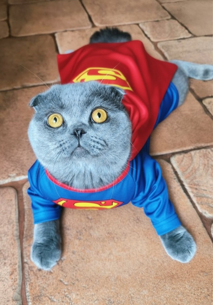 ����� ������ ����� �����