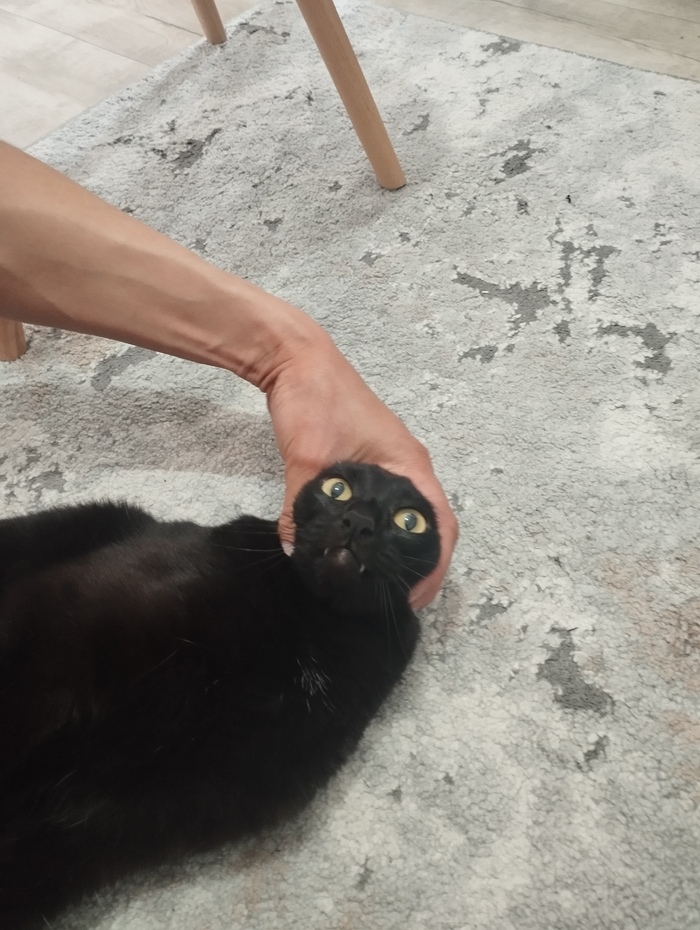    &quot;,   ,   &quot;