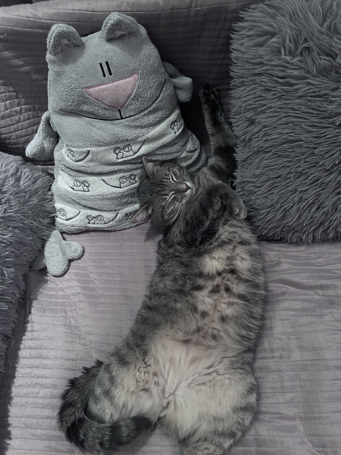    &quot;,   ,   &quot;